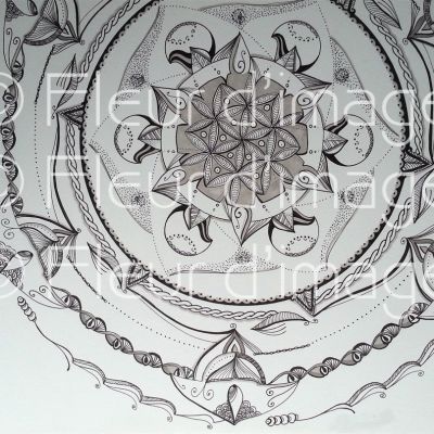 Mandala sur canson - encre de chine