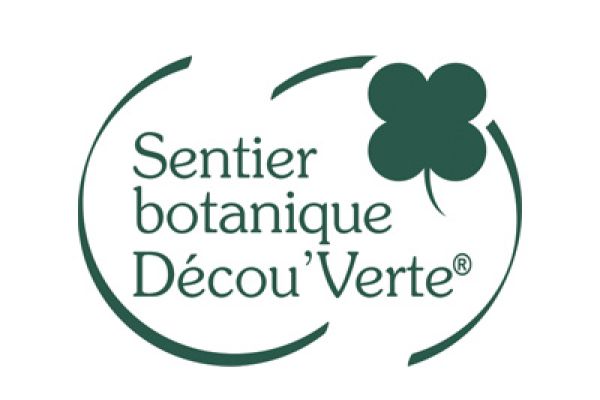 Conception de logo, thématique, illustration applis